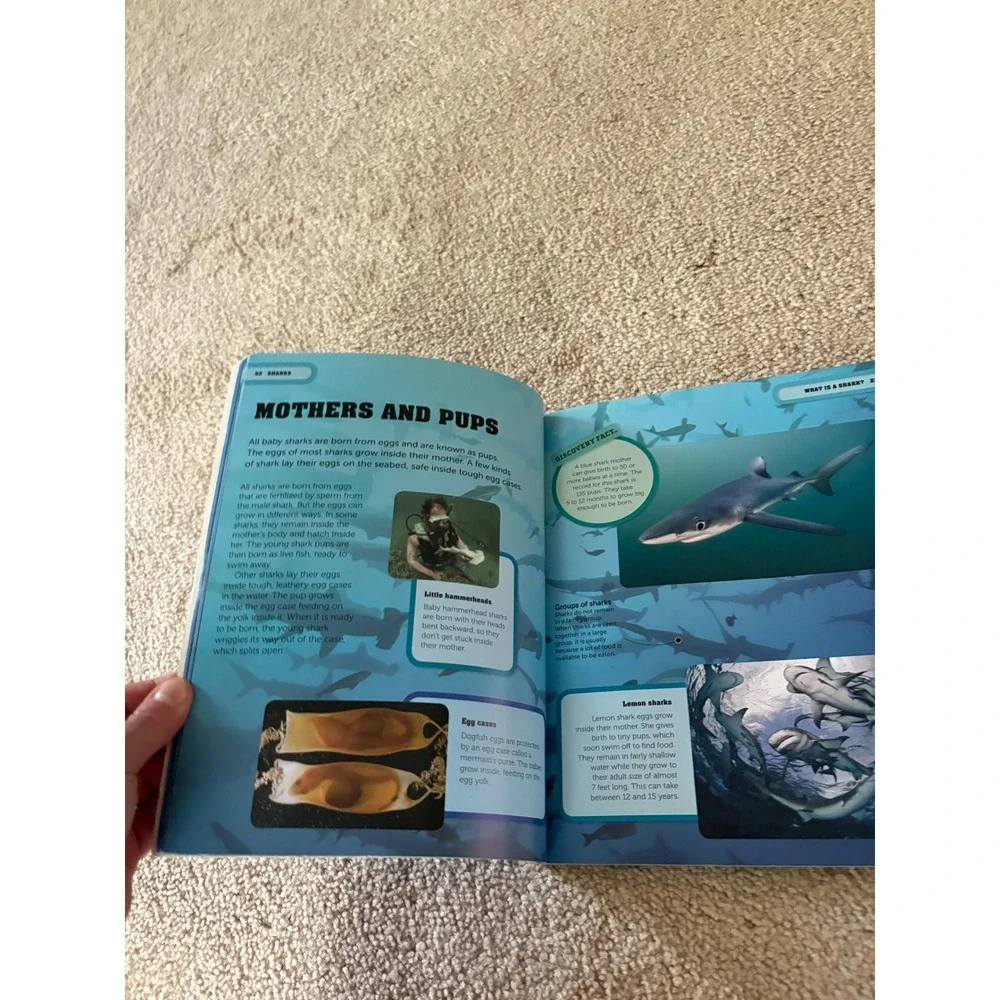 Discovery‎ Kids Ultimate Sharks Encyclopedia Book Childrens Learning
